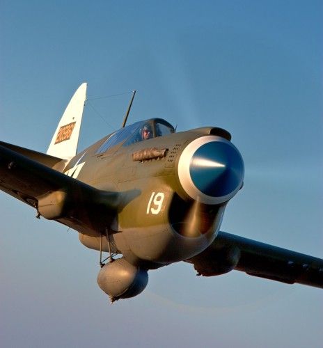 P-40_High_In-Trail-2-464x500.jpg