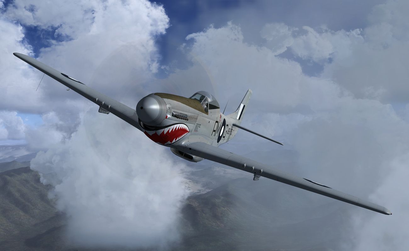warbird6.jpg