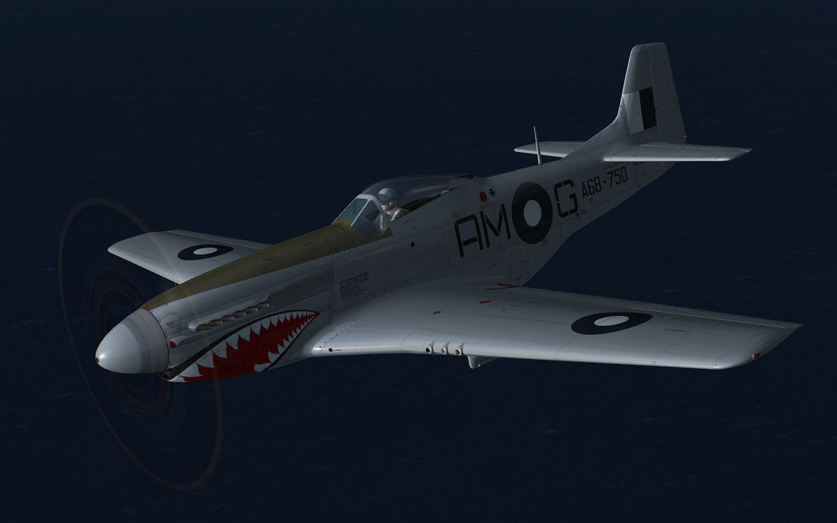 warbird8.jpg