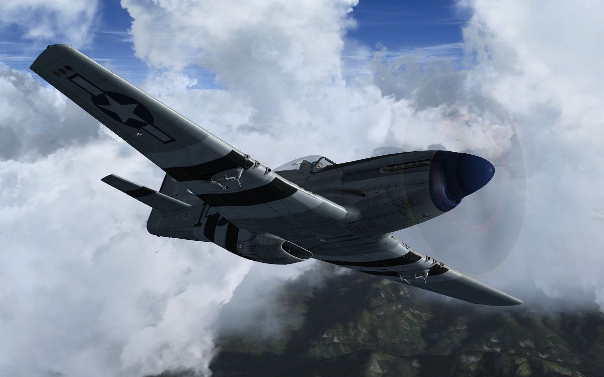 warbird9.jpg