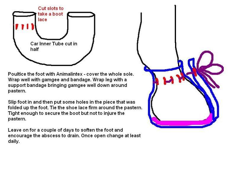 abscess boot for horses