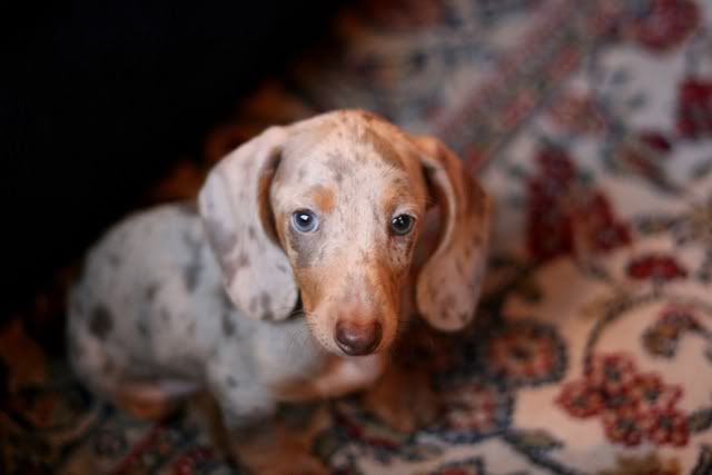 IMAGE: http://i7.photobucket.com/albums/y282/diznylnd/IMG_3032edit-1.jpg