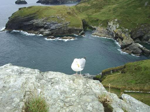 Image hosted by Photobucket.com