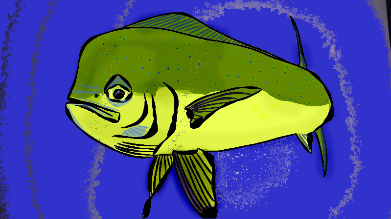 Dorado-1.png