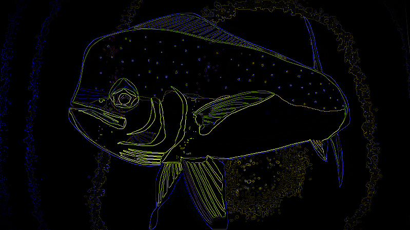 Dorado_black.png