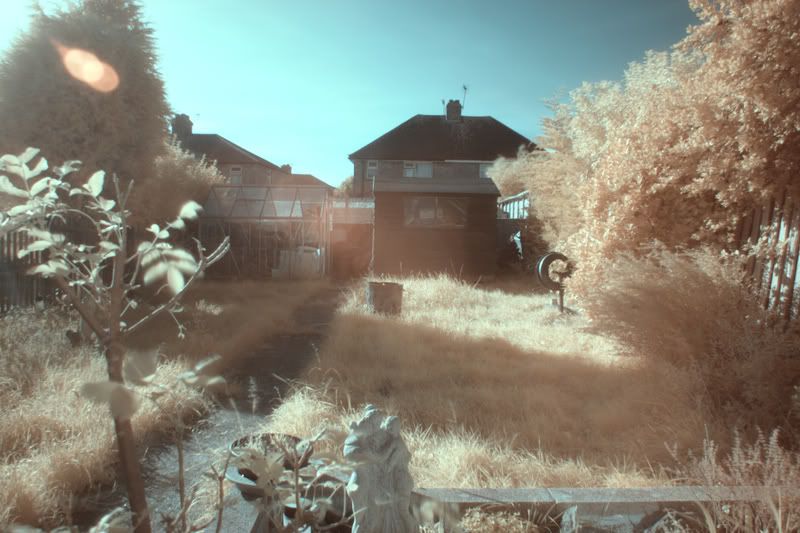 IMAGE: http://i7.photobucket.com/albums/y283/ckysamsam/inf008copy.jpg