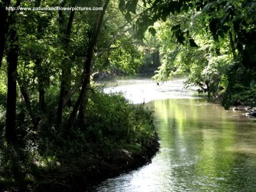 island wallpaper free. View of river island free