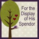 For the Display of His Splendor