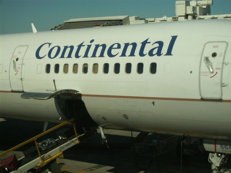 2009-01-10053.jpg