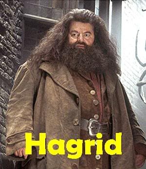 hagrid Pictures, Images and Photos