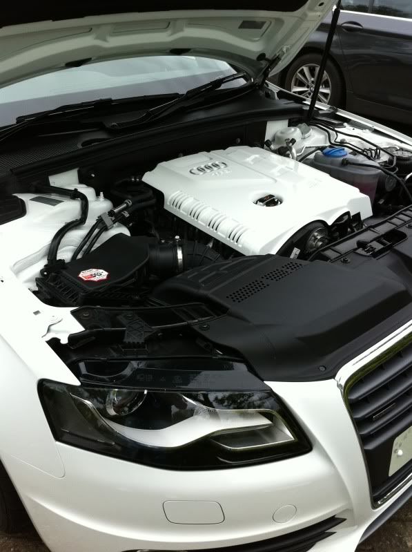 Engine Cover Painted And R8 Oil Cap