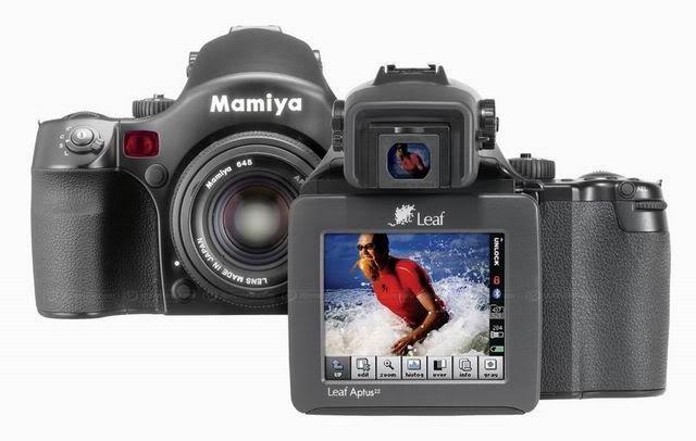 ResizeofResizeofleafmamiya_prodigII.jpg