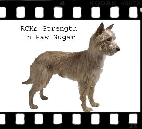 RCKs Strength In Raw Sugar