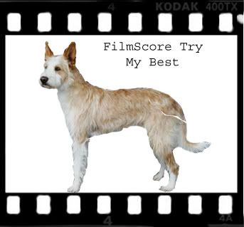 FilmScore Try My Best