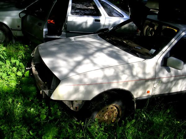 DSCN3257.jpg