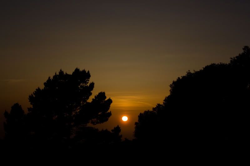 IMAGE: http://i7.photobucket.com/albums/y286/saychisinlo/Sunset/IMG_9783.jpg