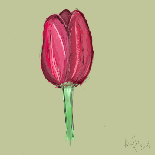 [Image: Tulip.png]