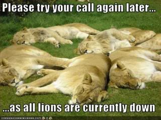 Lion down....help!!!!