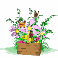 basketflowers2.gif