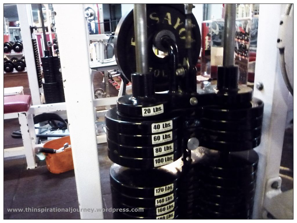 Lara Novales Eclipse Gym Ab Crunch Machine 110lbs Lara Novales Eclipse Gym Ab Crunch Machine 110lbs