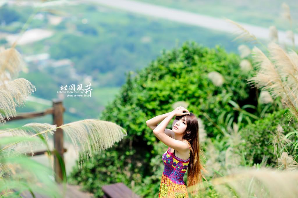 http://i7.photobucket.com/albums/y287/littlea0412/20110708-10/DSC_1744.jpg