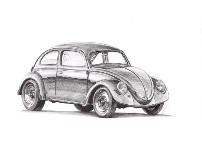 Bug Drawing