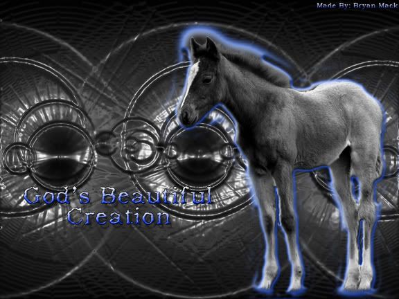 beautiful horses wallpaper. Black and Blue Horse Wallpaper