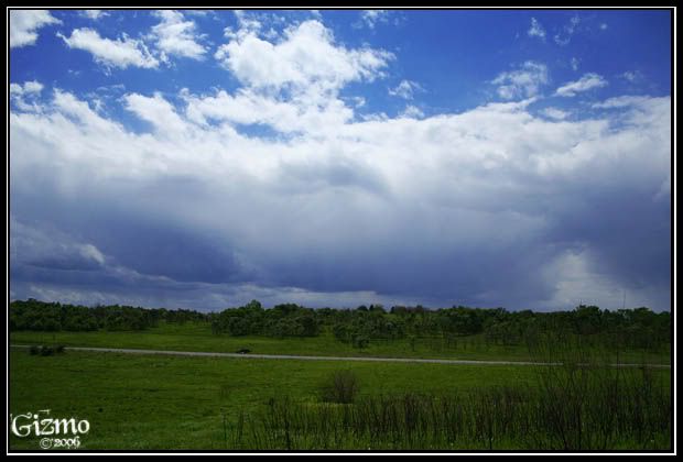 IMAGE: http://i7.photobucket.com/albums/y288/19gizmo85/Photography/Picture175.jpg