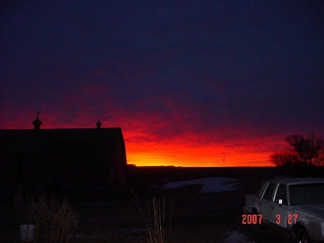 Our Sky This Morning - Homesteading Questions