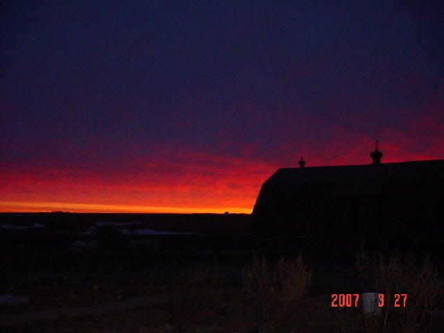 Our Sky This Morning - Homesteading Questions