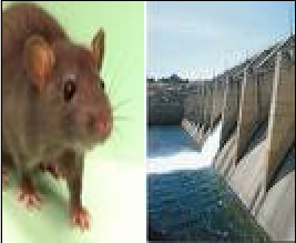 Picture18-1.png