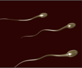 Picture22.png