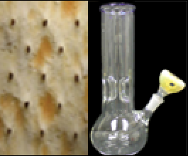 Picture29.png