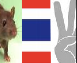 Picture37.png