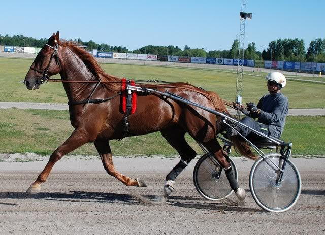 080726Varmning.jpg