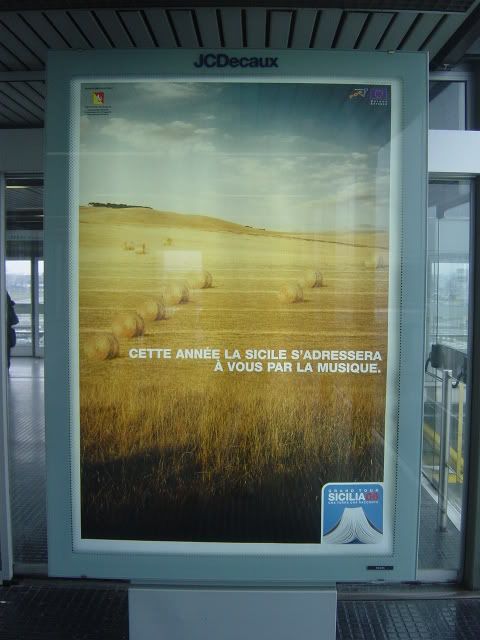 DSC04311.jpg