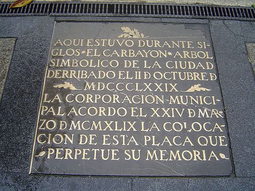 Imagen Enviada