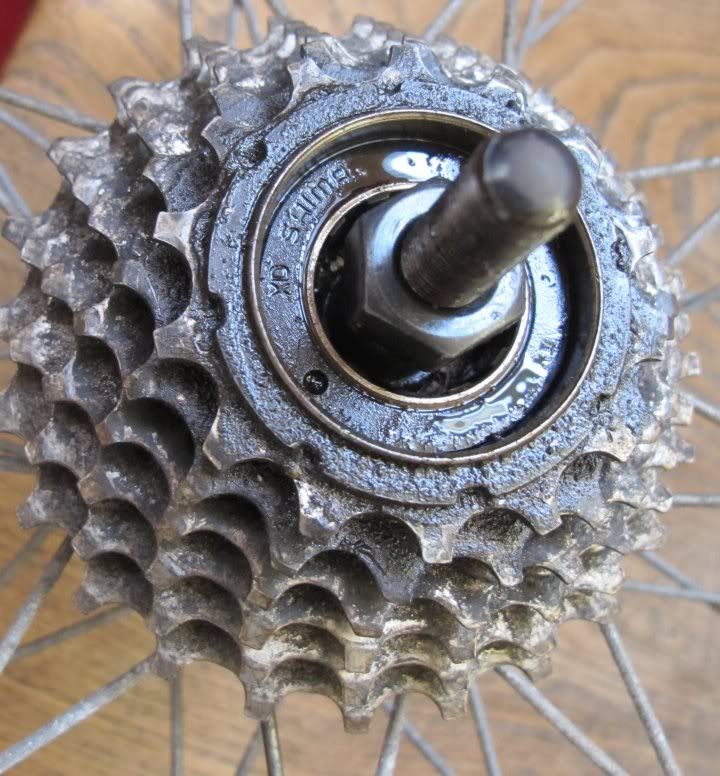 tool to remove shimano cassette