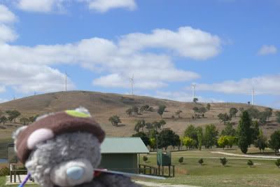 http://i7.photobucket.com/albums/y289/saragoescrazy3/cowra/nattnoy_blayneywindfarm.jpg