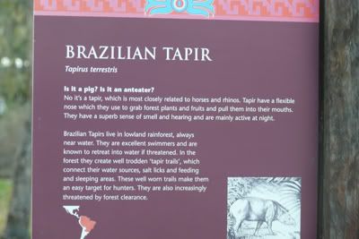 http://i7.photobucket.com/albums/y289/saragoescrazy3/toyvoyagers_zoo/brazilian_tapir_sign.jpg