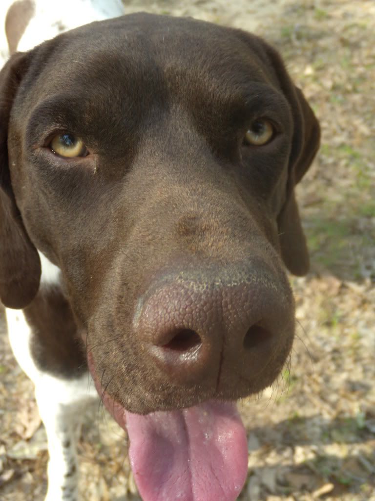http://i7.photobucket.com/albums/y291/PeauxnyLover/My%20Critters/DSCN0798.jpg