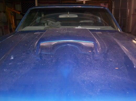 i have a 67 stinger hood scoopnow i wish i went with an L88 