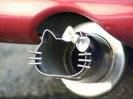 Hello Kitty Exhaust Tip. Exhaust ideal, dual 4quot; tips?