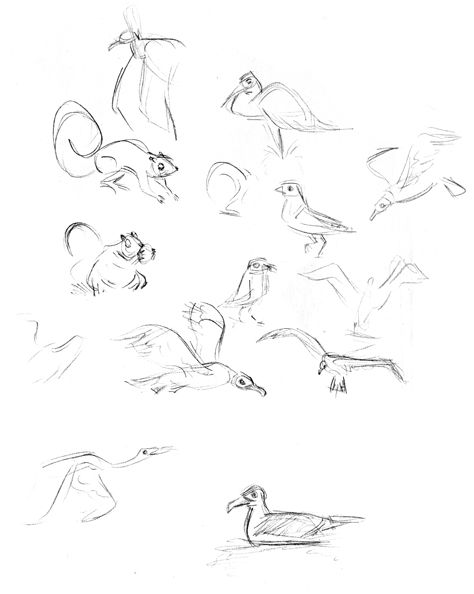 sketches of birds. There are way too many irds