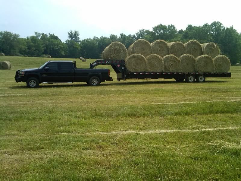 HayMay2010.jpg
