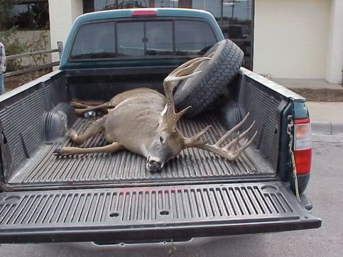 chrissbigdeer.jpg