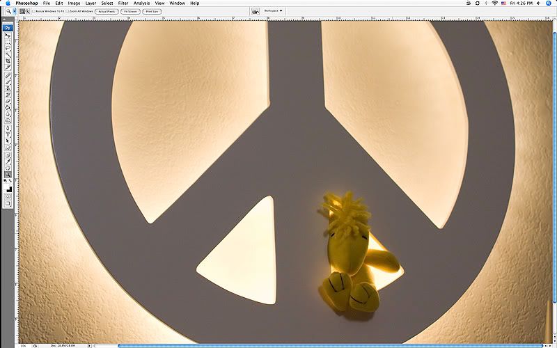 IMAGE: http://i7.photobucket.com/albums/y291/tborquez/January%202010/Picture1.jpg