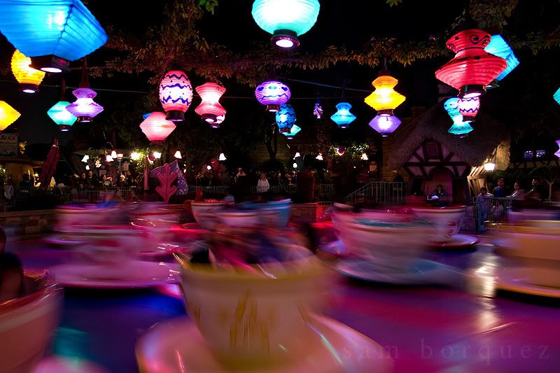 IMAGE: http://i7.photobucket.com/albums/y291/tborquez/October%202009/040409Teacups01.jpg