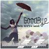 goodbye.jpg