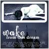 wake-from.jpg